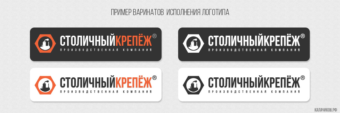 Варианты исполнения логотипа